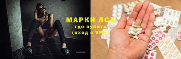 гидра Алексин