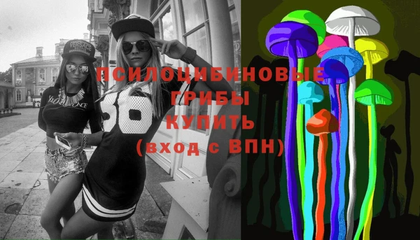 гидра Алексин