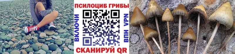 Псилоцибиновые грибы прущие грибы  нарко площадка официальный сайт  Южно-Сахалинск 