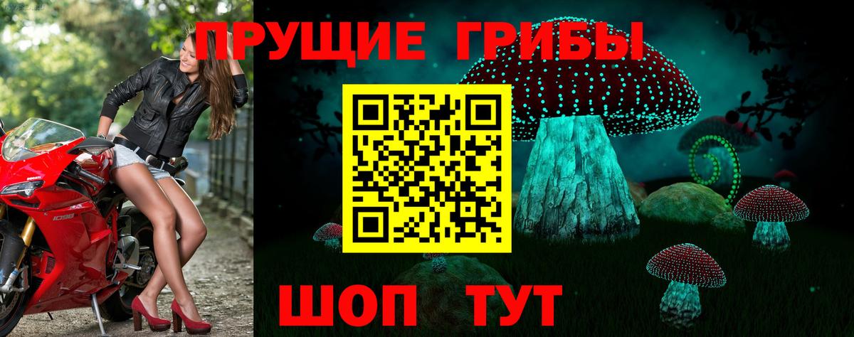 Южно-Сахалинск  Галлюциногенные грибы прущие грибы  Вход с VPN 