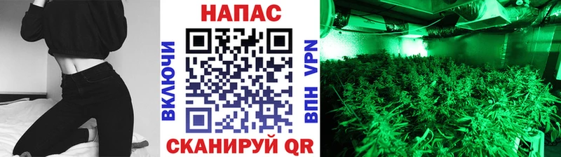 купить наркотики цена  Южно-Сахалинск  MEGA как войти  Бошки Шишки конопля 